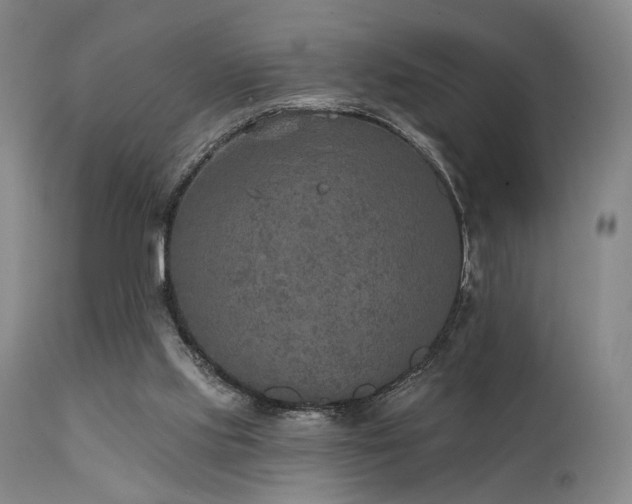 X0000112020061200908031407