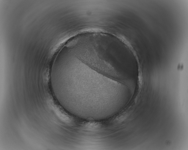 X0000112020063200908031407