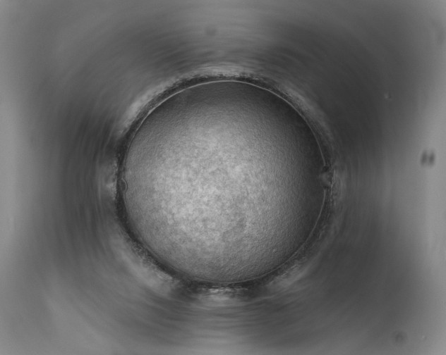 X0000112020064200908031407