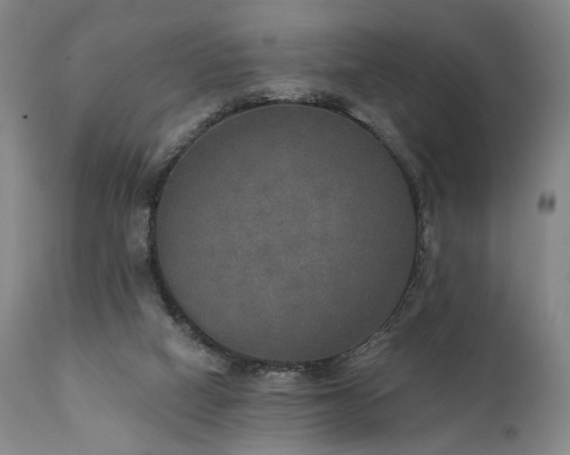 X0000112020066200908031407