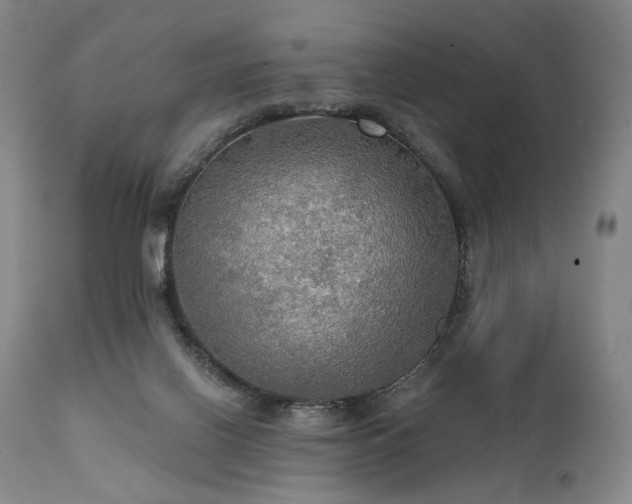 X0000112020070200908031407