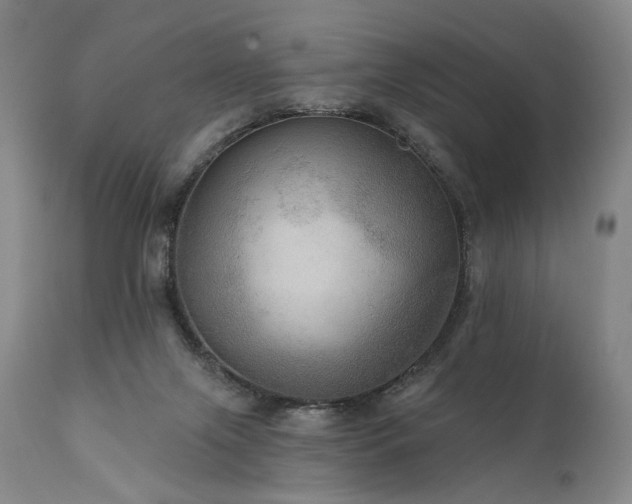 X0000112020071200908031407