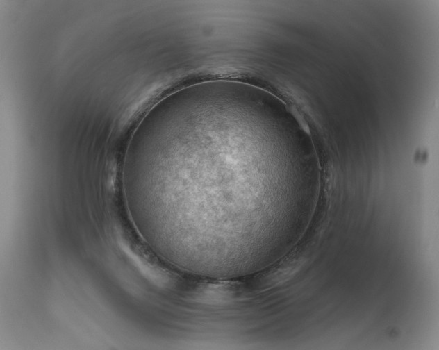 X0000112020072200908031407