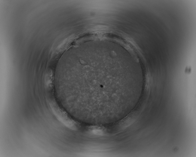 X0000112020073200908031407