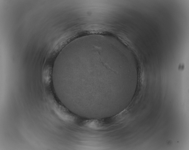 X0000112020074200908031407