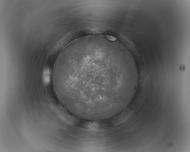 X0000112020075200908031407