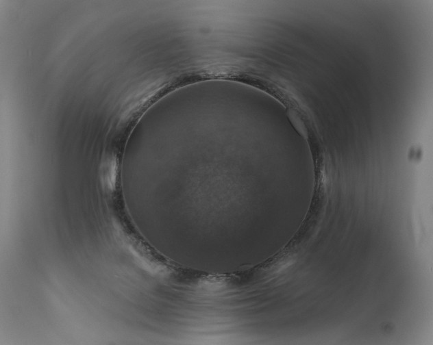 X0000112020076200908031407