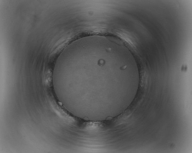 X0000112020077200908031407