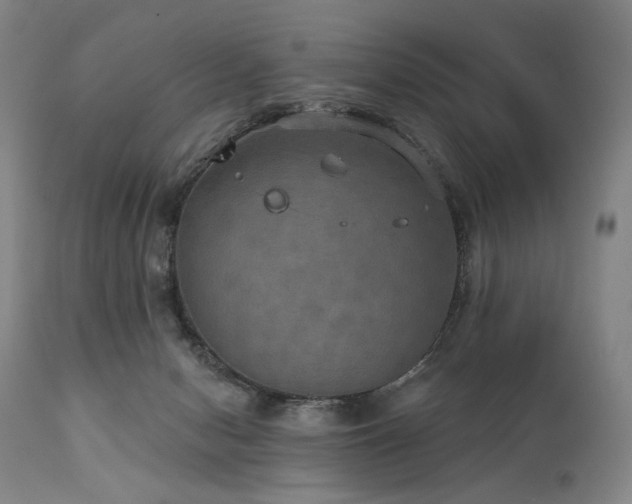 X0000112020078200908031407