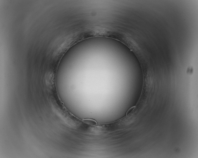 X0000112020079200908031407