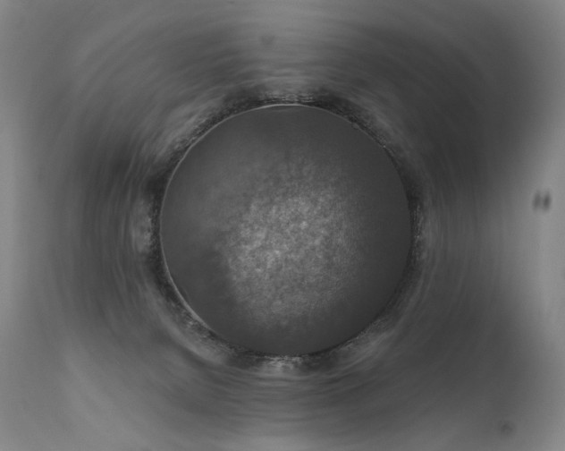 X0000112020080200908031407