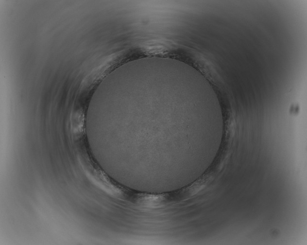 X0000112020081200908031407