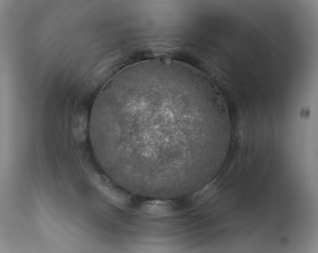 X0000112020082200908031407