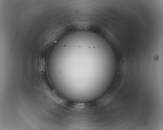 X0000112020083200908031407