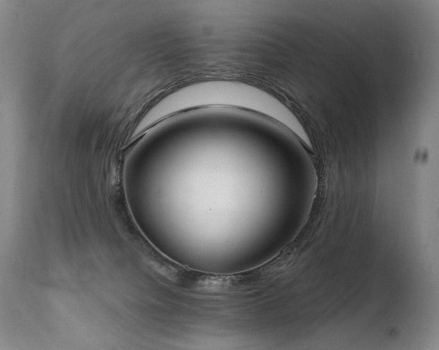 X0000112020084200908031407