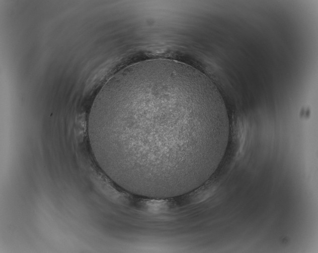 X0000112020085200908031407