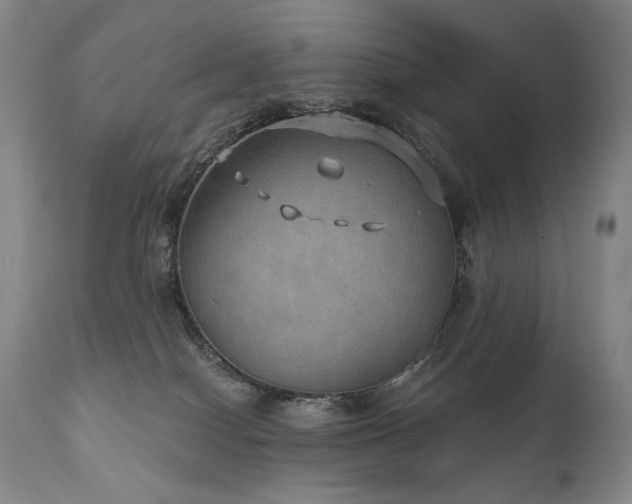 X0000112020086200908031407