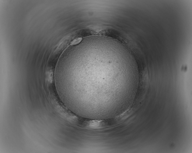 X0000112020090200908031408