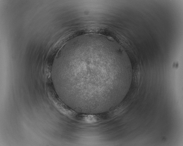 X0000112020091200908031408