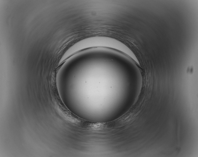 X0000112020092200908031408