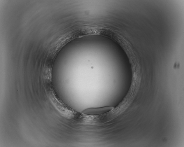 X0000112020096200908031408