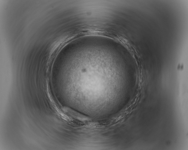 X0000112020097200908031407