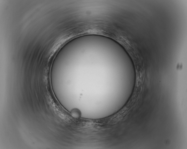 X0000112020098200908031407