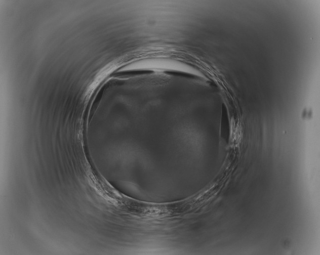 X0000112020099200908031407