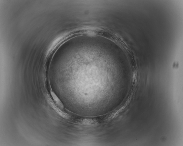 X0000112020101200908031407