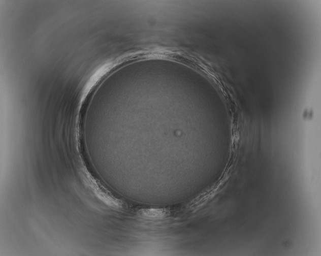 X0000112020102200908031407