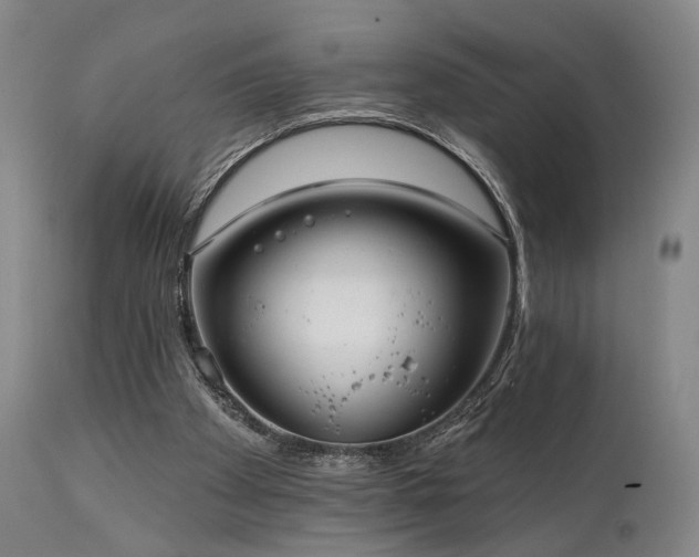 X0000112020105200908031407