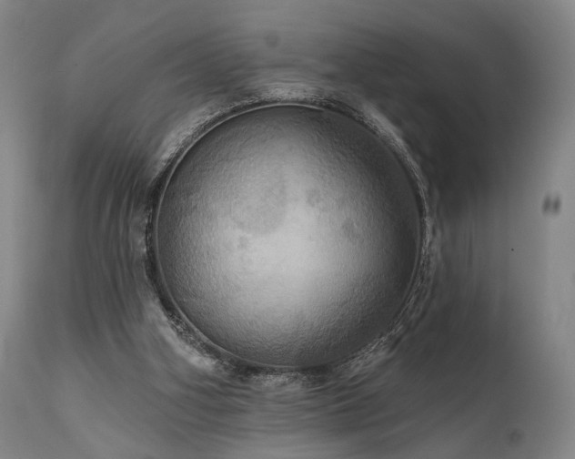 X0000112020106200908031407