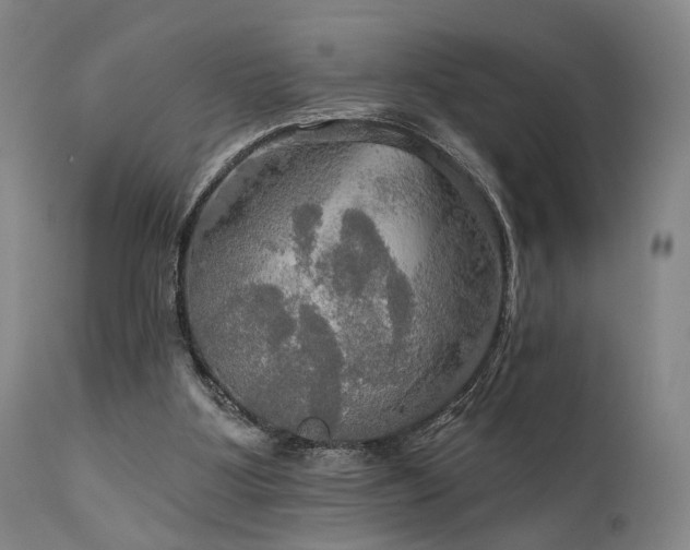 X0000112020107200908031407