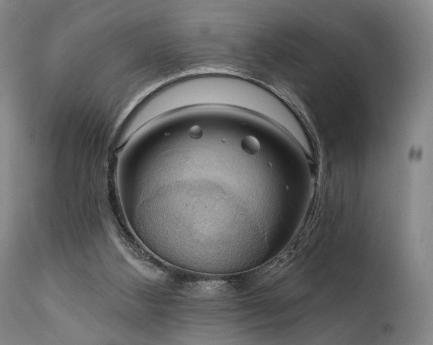 X0000112020108200908031407