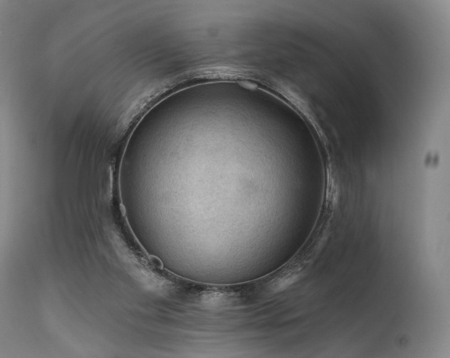 X0000112020109200908031407