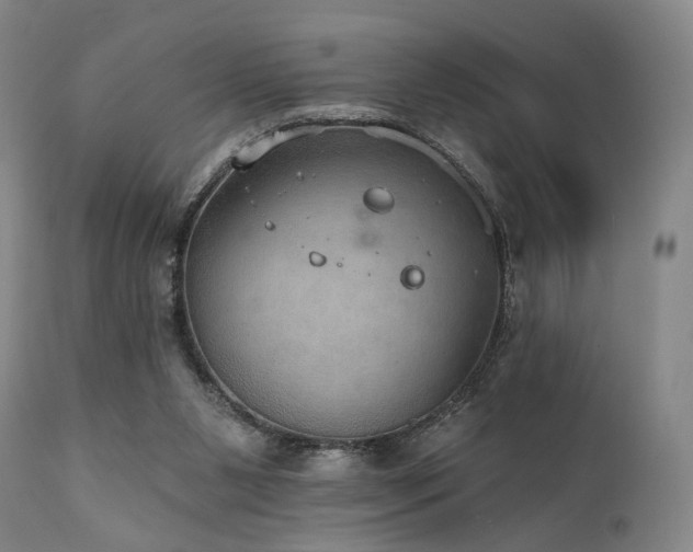 X0000112020111200908031407