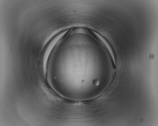 X0000112020112200908031407