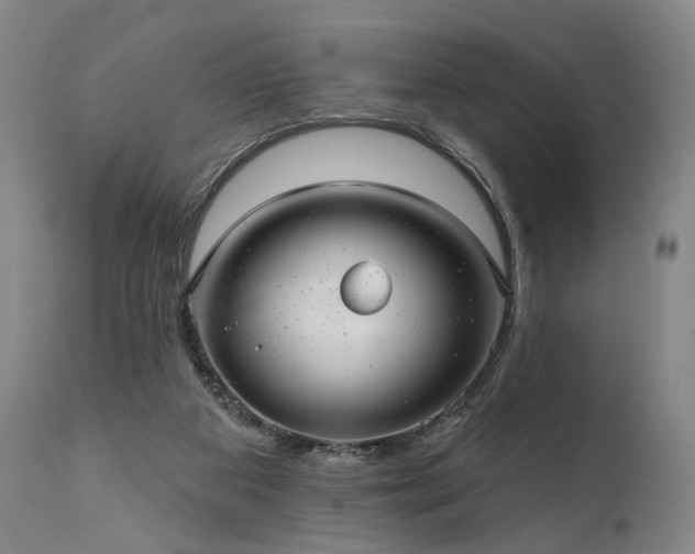 X0000112020113200908031407