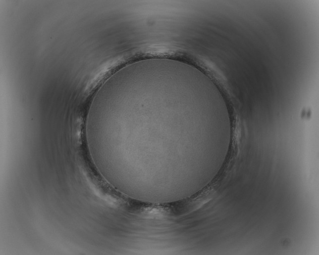 X0000112020115200908031407