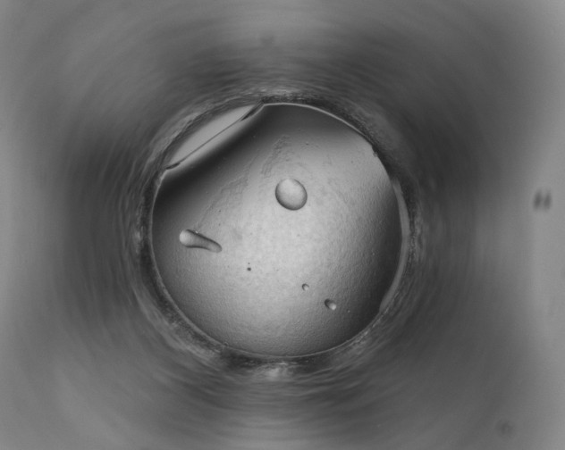 X0000112020116200908031407