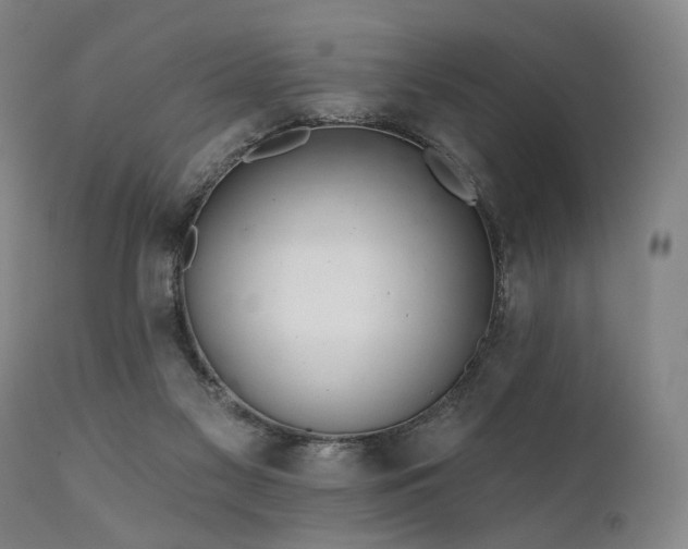 X0000112020117200908031407