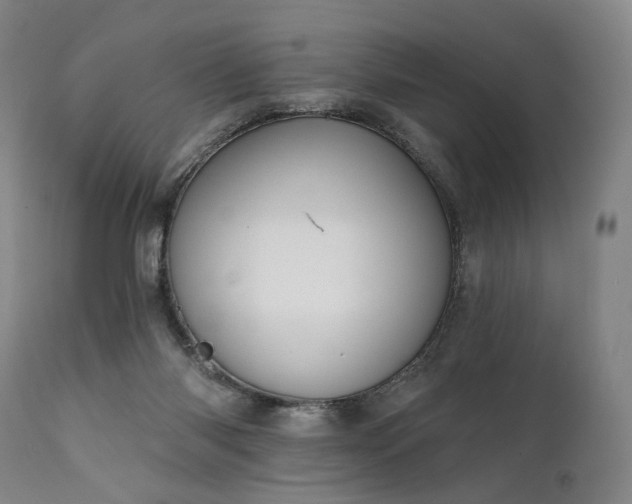 X0000112020118200908031407