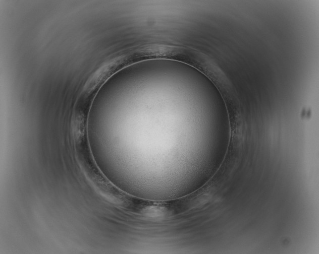 X0000112020119200908031407