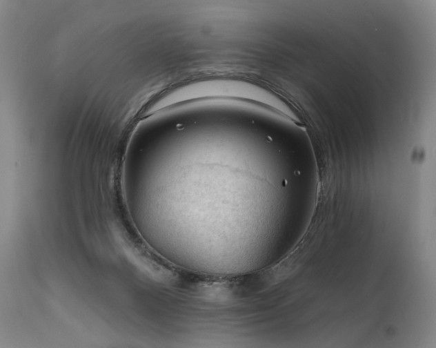 X0000112020120200908031407