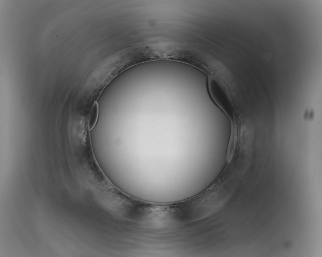 X0000112020121200908031406