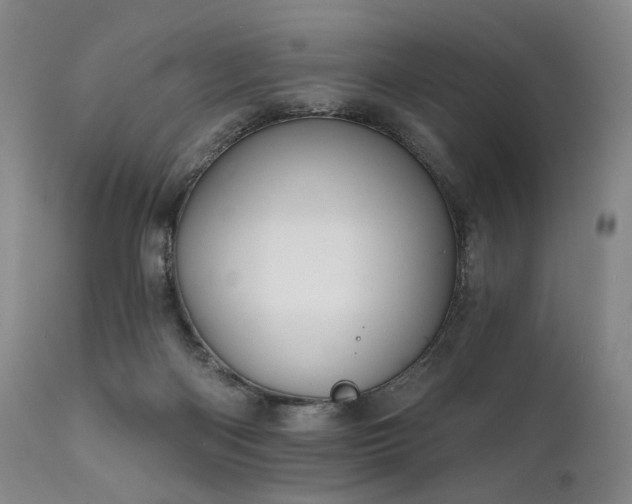 X0000112020122200908031406