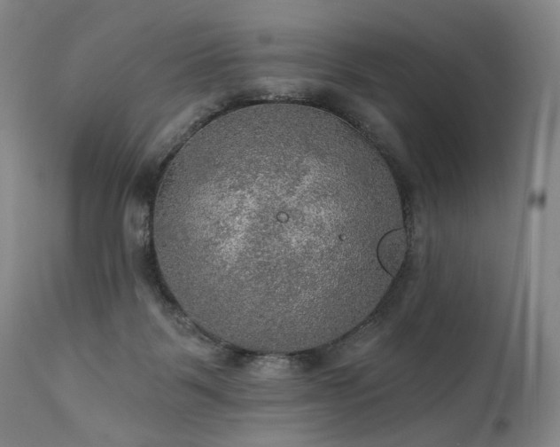 X0000112020123200908031406