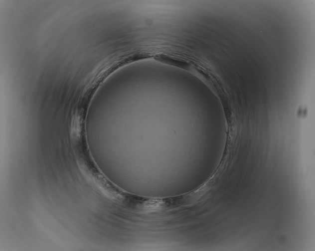 X0000112020124200908031406