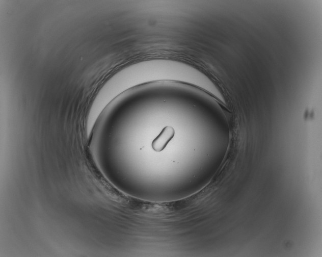 X0000112020125200908031406