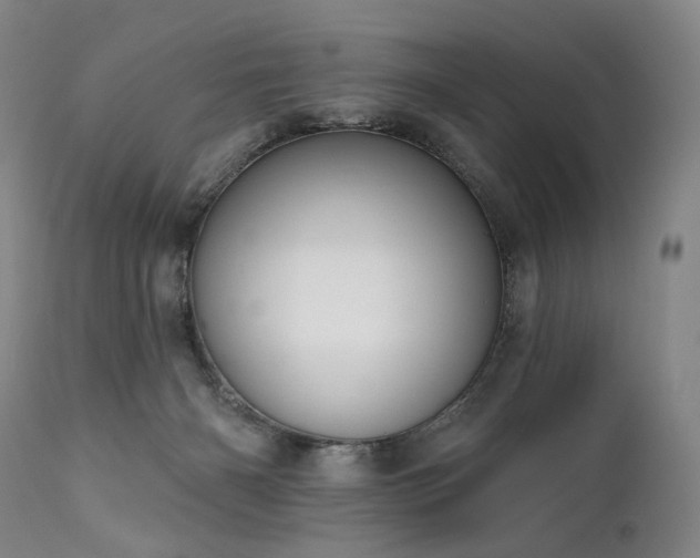 X0000112020126200908031406